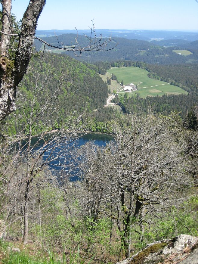 Blick vom Alpinenpfad